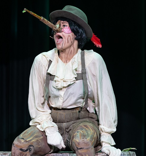 Shrek JR Pinocchio