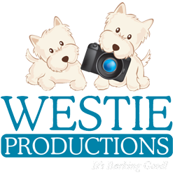 westie