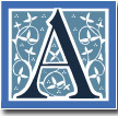 The Ariel Foundation
